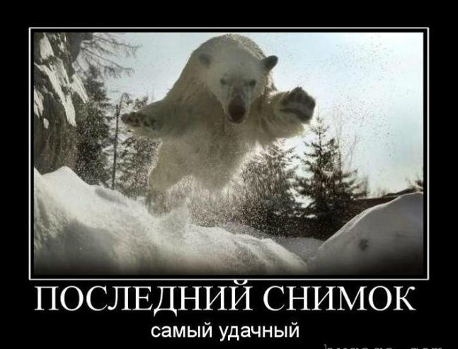 снимок.jpg