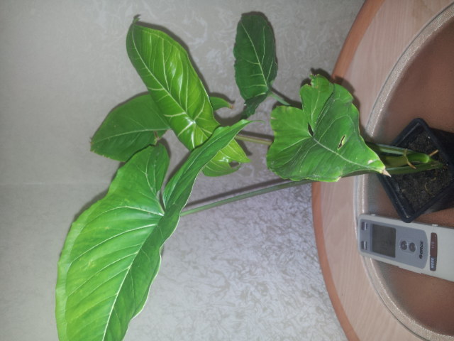 20131030_092757.jpg
