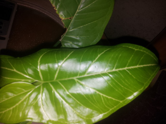 20131030_092815.jpg