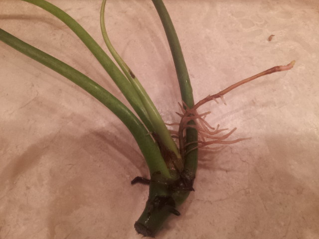 20131031_091206.jpg