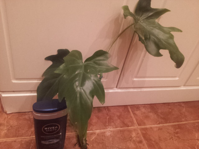 20131031_091317.jpg