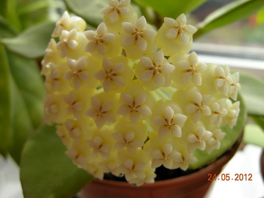 DSCN8861.JPG