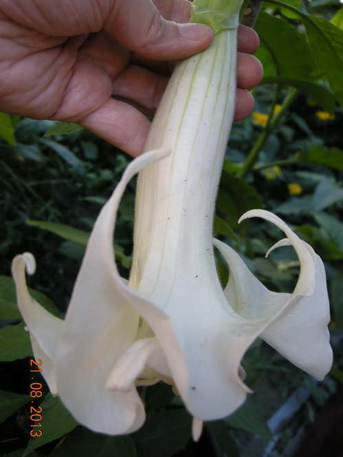 DSCN2414.JPG