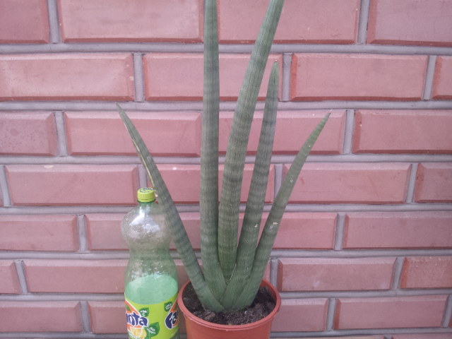 20130729_105914.jpg