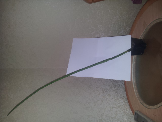20131104_130622.jpg