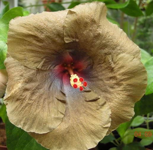 DSCN2488.JPG