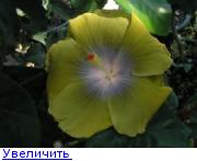 138098144322463725.jpg