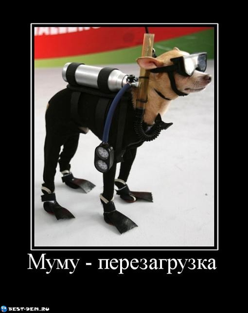 7438_1.jpeg