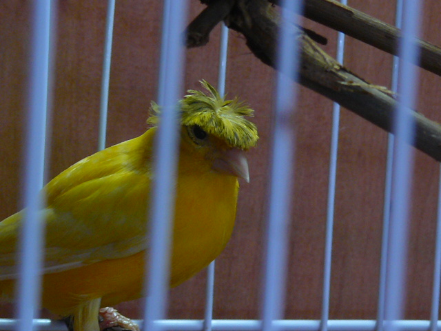 P1100264.JPG