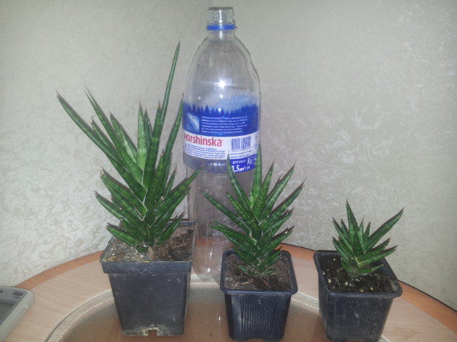 20131109_090224.jpg