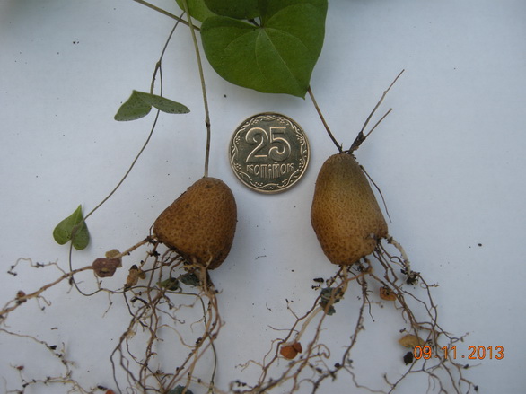 DSCN2920.JPG
