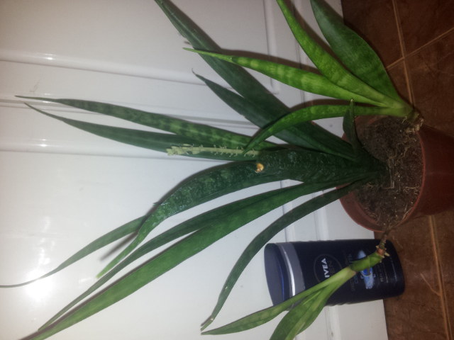 20131110_101121.jpg