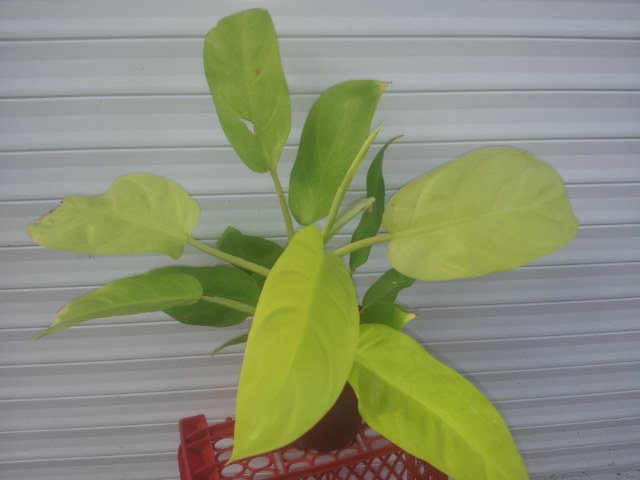 20131110_121930.jpg