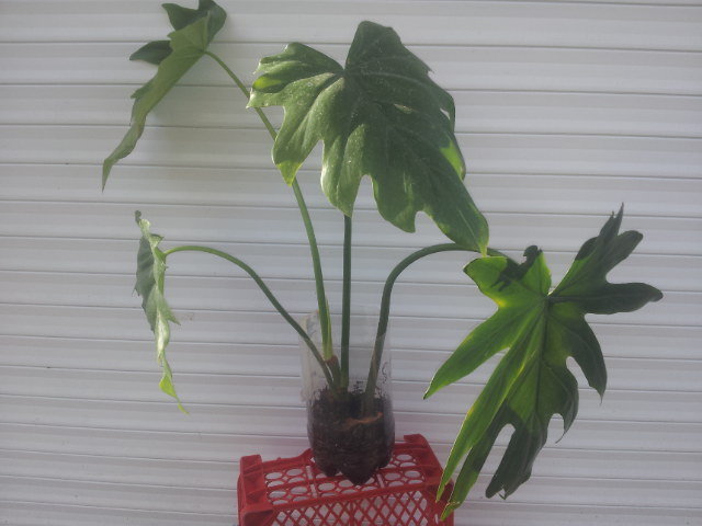 20131110_122031.jpg