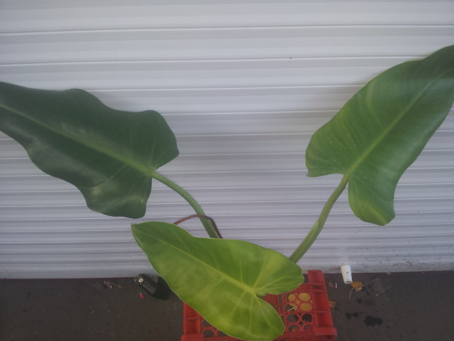 20131110_124405.jpg