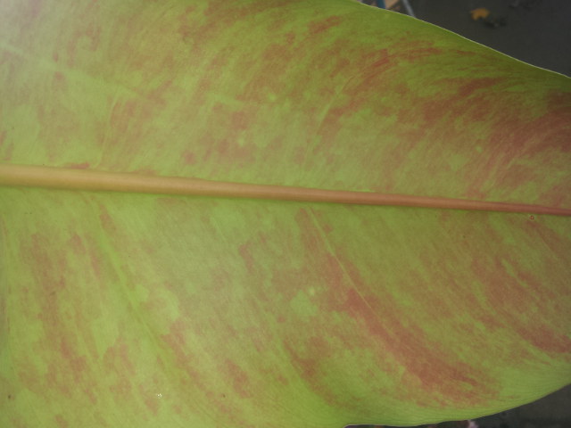 20131110_124801.jpg