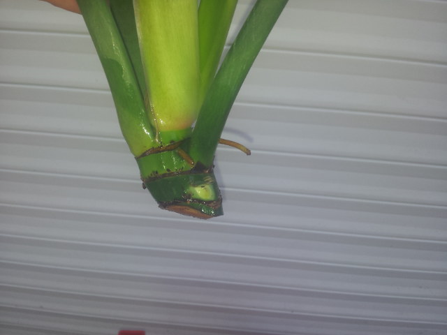 20131110_124105.jpg