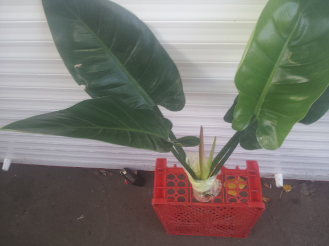 20131110_124034.jpg