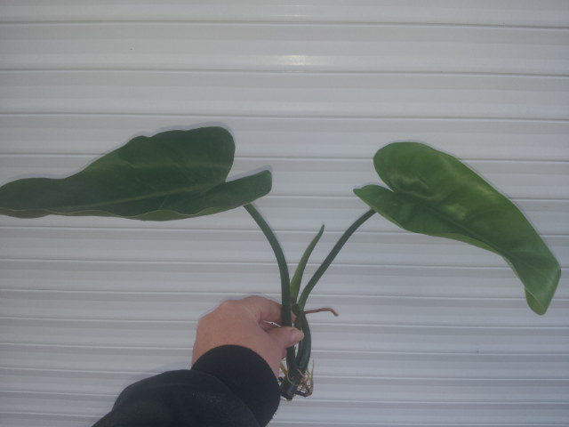 20131110_124502.jpg