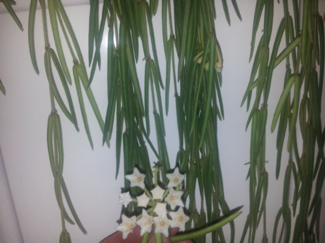 20131112_183740.jpg
