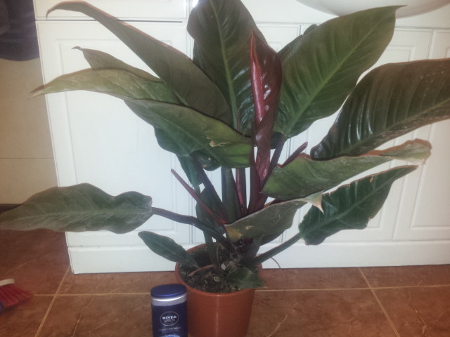20131112_184034.jpg