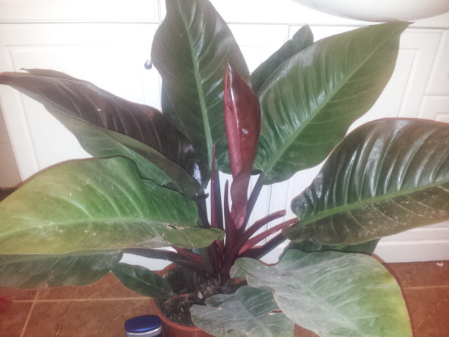 20131112_184048.jpg