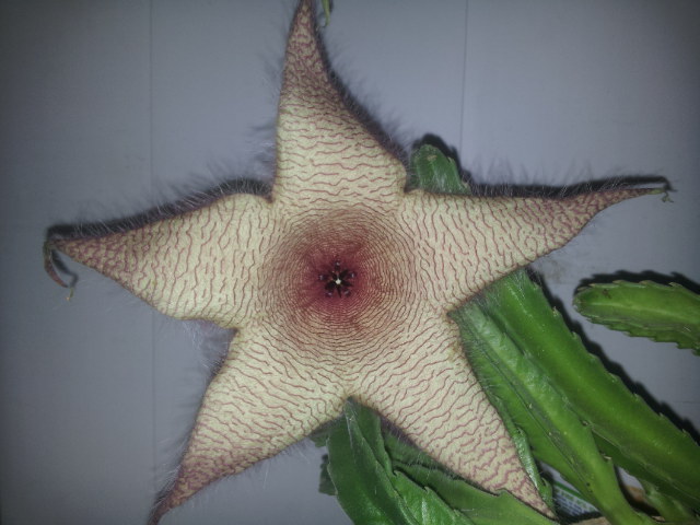 20131112_154317.jpg