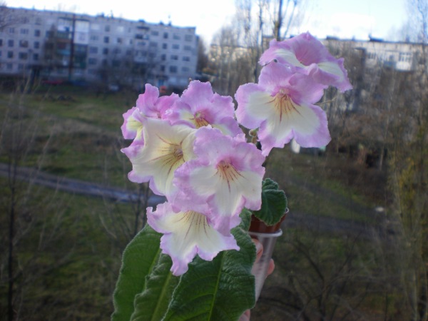 P1170322.JPG