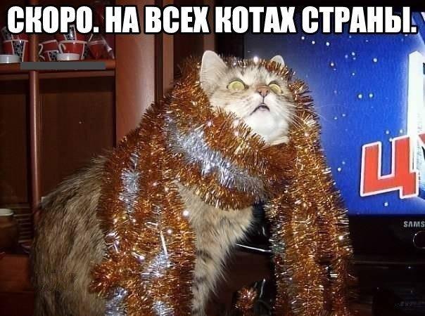 скоро-2.jpg