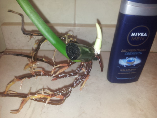 20131116_103627.jpg