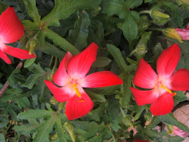 S73F4760.jpg