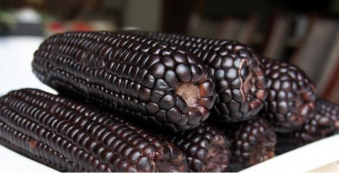 черная кукуруза.jpg
