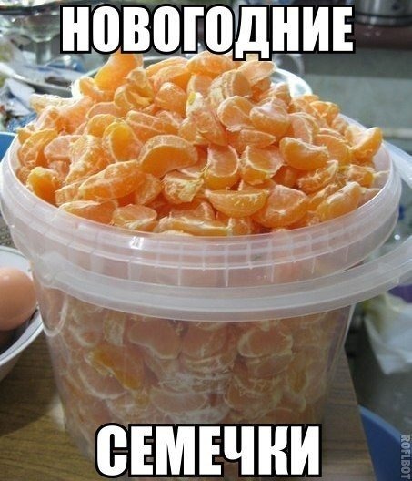 семечки.jpg