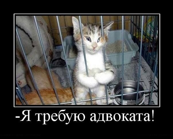 требую.jpg