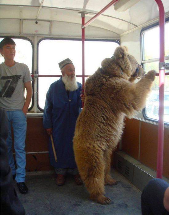 в автобусе.jpeg