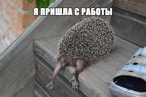 работа.jpg