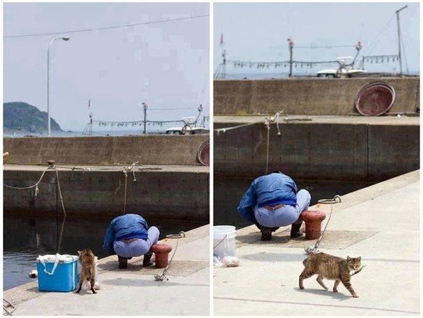 рыбак.jpg