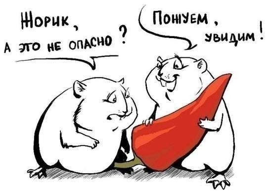 жорик.jpg
