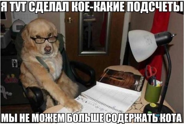 подсчеты.jpg