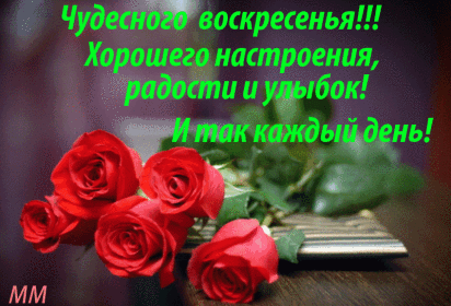 день.gif