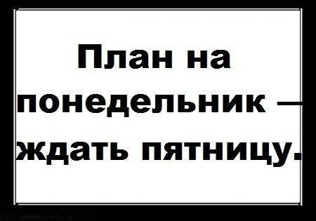 план.jpg