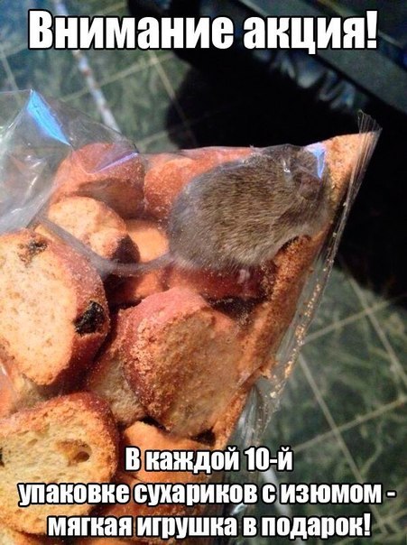 акция.jpg