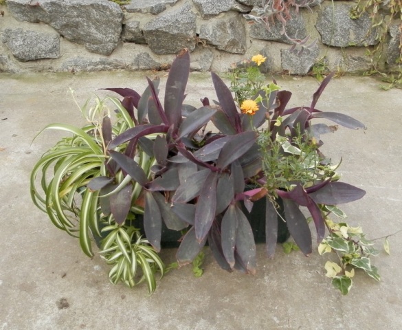 PB030893.JPG