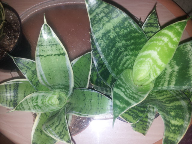 20131127_101200.jpg
