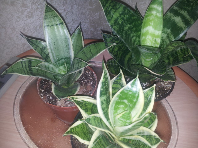 20131127_101030.jpg