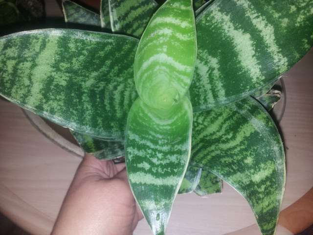 20131127_101130.jpg