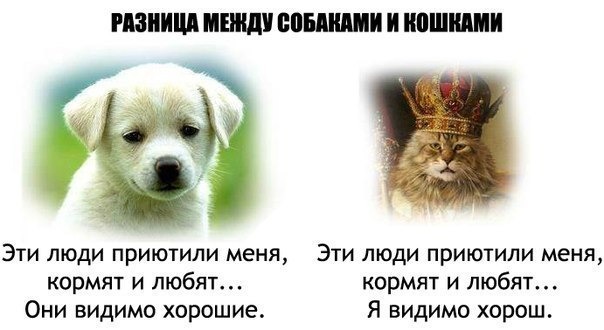 разница.jpg