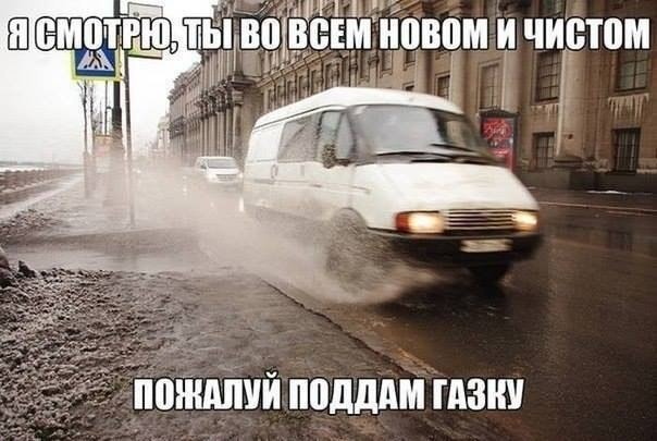 смотрю.jpg