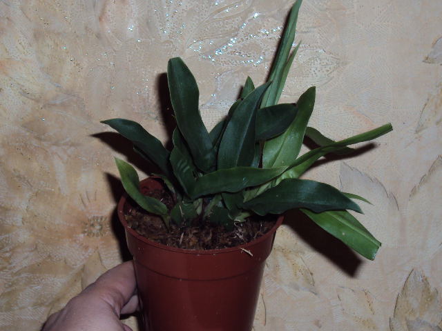 DSC08079.JPG