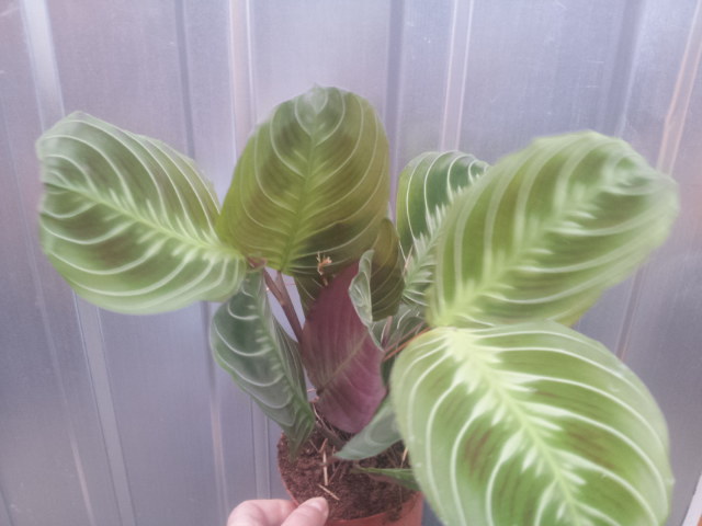 20131206_101756.jpg